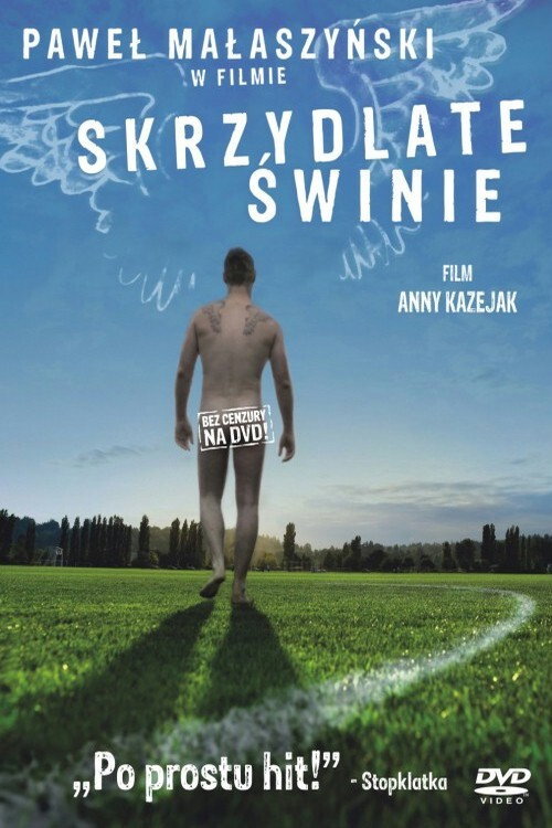 Plakat Skrzydlate świnie