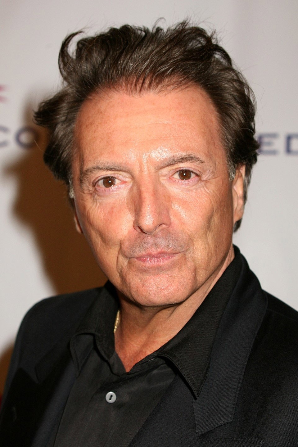 Zdjęcie Armand Assante