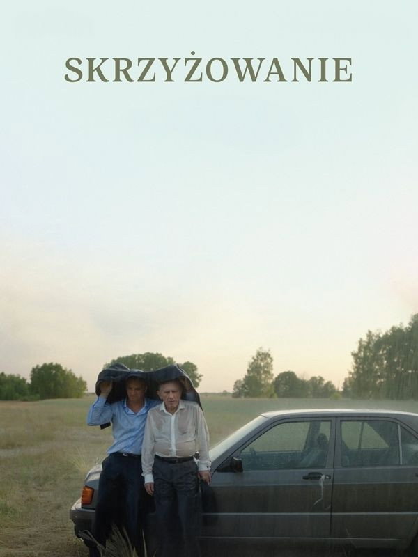 Plakat Skrzyżowanie